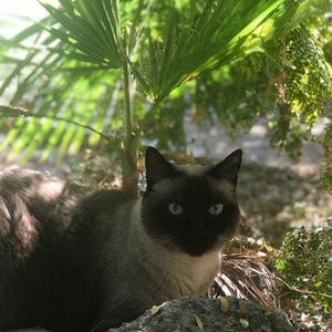 Meet your Posher, Lucinda